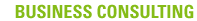 Business Consulting